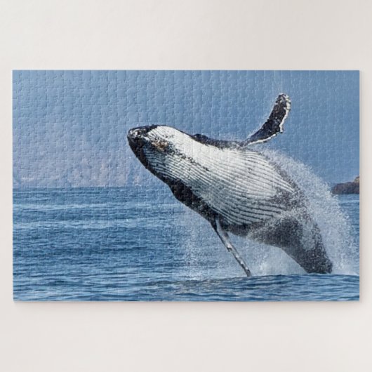 Bultrugwalvis Alaska Legpuzzel (Horizontaal)