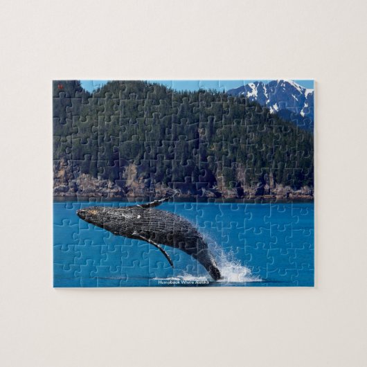 Bultrugwalvis Alaska Legpuzzel (Horizontaal)