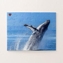 Bultrugwalvis Alaska Legpuzzel