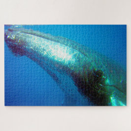 Bultrugwalvis Alaska Legpuzzel