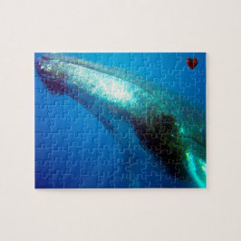 Bultrugwalvis Alaska Legpuzzel