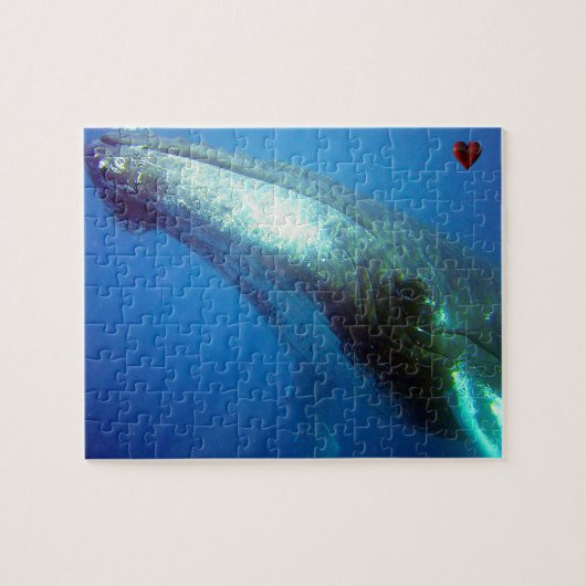 Bultrugwalvis Alaska Legpuzzel (Horizontaal)