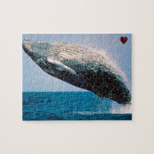 Bultrugwalvis Alaska Legpuzzel (Horizontaal)