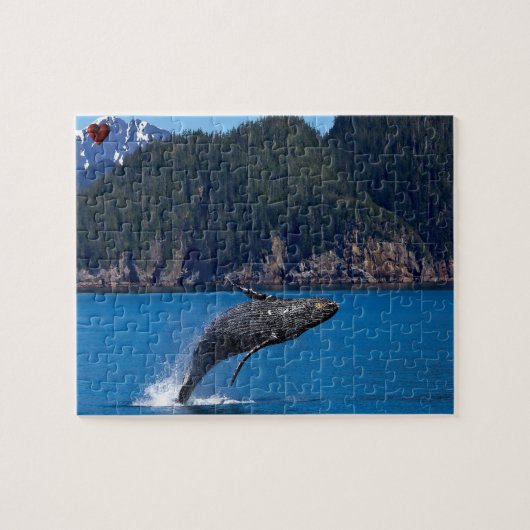 Bultrugwalvis Alaska Legpuzzel (Horizontaal)