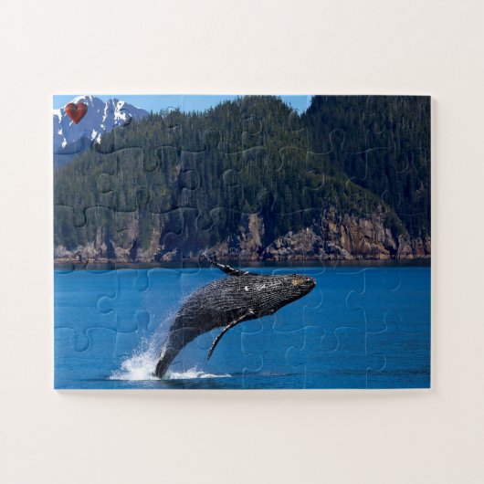 Bultrugwalvis Alaska Legpuzzel (Horizontaal)