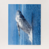 Bultrugwalvis Alaska Legpuzzel (Verticaal)