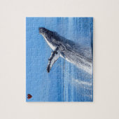 Bultrugwalvis Alaska Legpuzzel (Verticaal)
