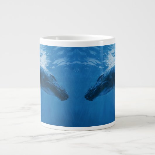Bultrugwalvis Grote Koffiekop (Voorkant)