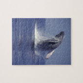 Bultrugwalvis springt uit het water (Megaptera Legpuzzel (Horizontaal)