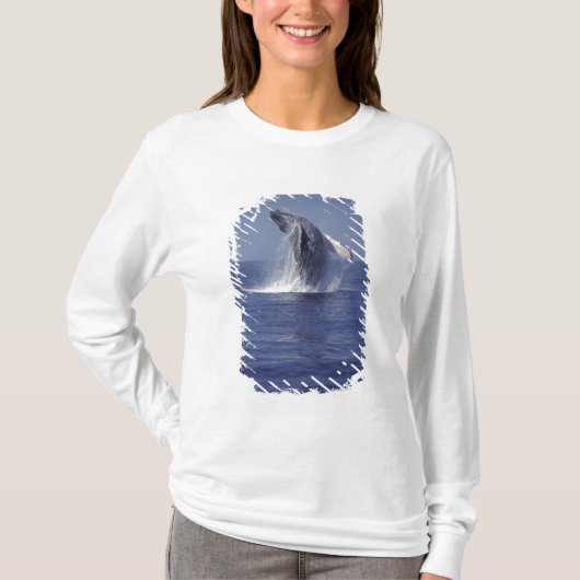 Bultrugwalvis springt uit het water (Megaptera T-shirt (Voorkant)