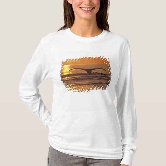 Bultrugwalvis T-shirt (Voorkant)