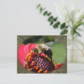 Bumble Bee 195 ~ briefkaart (Staand voorkant)