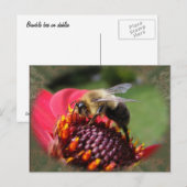 Bumble Bee 195 ~ briefkaart (Voorkant / Achterkant)