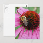 Bumble Bee 2 Briefkaart (Voorkant / Achterkant)