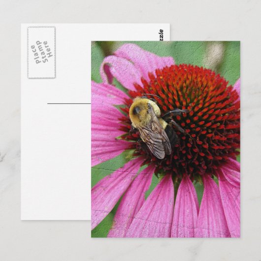 Bumble Bee 2 Briefkaart (Voorkant / Achterkant)