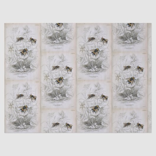 Bumble Bee Botanical Tissue Paper Tissuepapier (Voorkant)