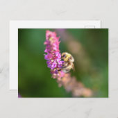 Bumble Bee Briefkaart (Voorkant / Achterkant)