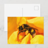 Bumble Bee Briefkaart (Voorkant / Achterkant)