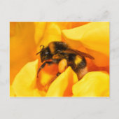 Bumble Bee Briefkaart (Voorkant)
