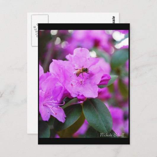 Bumble Bee Briefkaart (Voorkant / Achterkant)