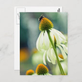 Bumble Bee Briefkaart (Voorkant / Achterkant)