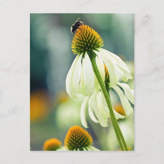 Bumble Bee Briefkaart (Voorkant)