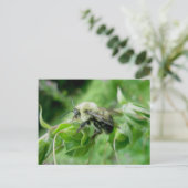 Bumble Bee Briefkaart (Staand voorkant)