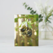 Bumble Bee Briefkaart (Staand voorkant)