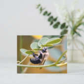 Bumble Bee Briefkaart (Staand voorkant)
