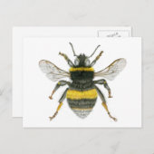 Bumble Bee Briefkaart (Voorkant / Achterkant)