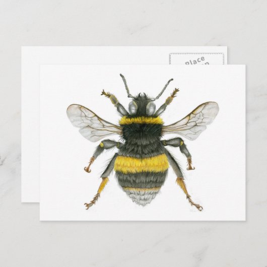 Bumble Bee Briefkaart (Voorkant / Achterkant)