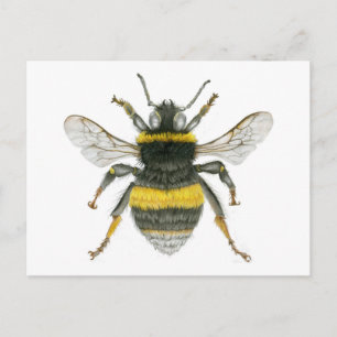 Bumble Bee Briefkaart