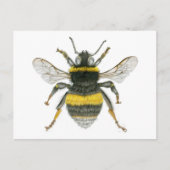Bumble Bee Briefkaart (Voorkant)