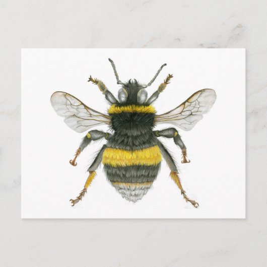 Bumble Bee Briefkaart (Voorkant)
