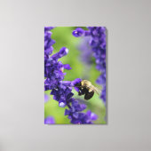 Bumble Bee Canvas Afdruk (Voorkant)