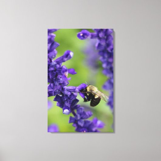 Bumble Bee Canvas Afdruk (Voorkant)