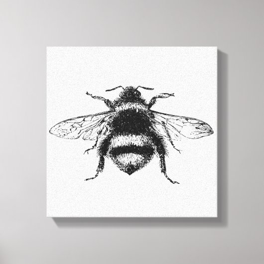 Bumble Bee Canvas Print (Voorkant)