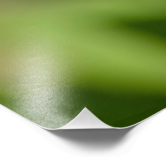 Bumble Bee Closeup Foto Afdruk (Hoek)