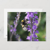 Bumble bee Collect Pollen Post Card Briefkaart (Voorkant / Achterkant)