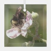 Bumble Bee die stuifmeel verzamelt Glass Ornament (Voorkant)