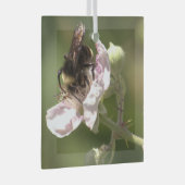 Bumble Bee die stuifmeel verzamelt Glass Ornament (Voorkant Rechts)