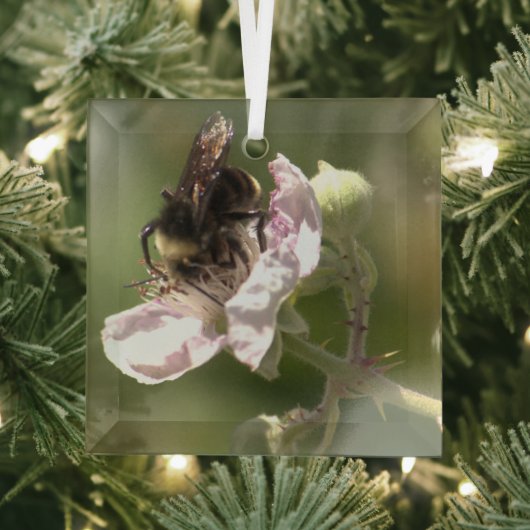 Bumble Bee die stuifmeel verzamelt Glass Ornament (Insitu)
