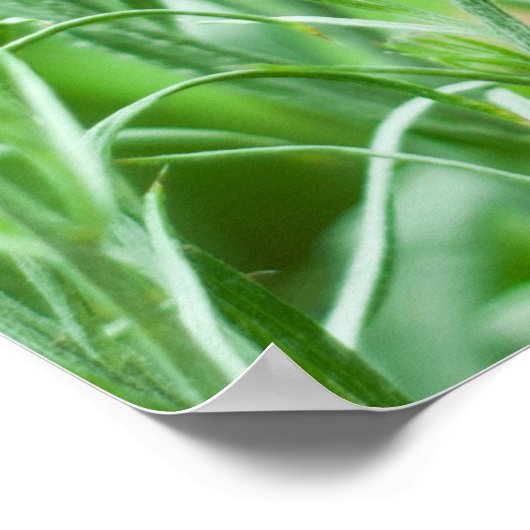 Bumble bee en bloesdoek poster (Hoek)