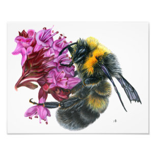 Bumble Bee Foto Afdruk