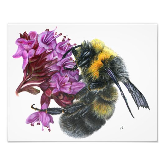 Bumble Bee Foto Afdruk (Voorkant)