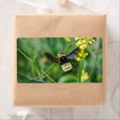 Bumble Bee in Flight Etiket (Insitu)