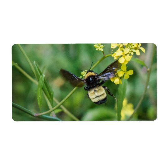 Bumble Bee in Flight Etiket (Voorkant)