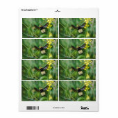 Bumble Bee in Flight Etiket (Full Sheet)