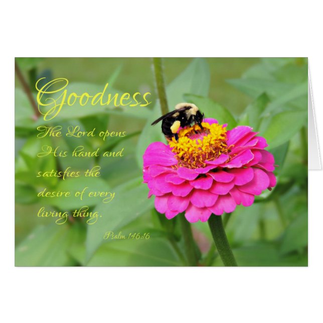 Bumble bee in roze Zinnia Denking You Kaart (Voorkant Horizontaal)