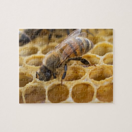 Bumble Bee Inside Honeycomb Jigzaag Puzzle Legpuzzel (Horizontaal)